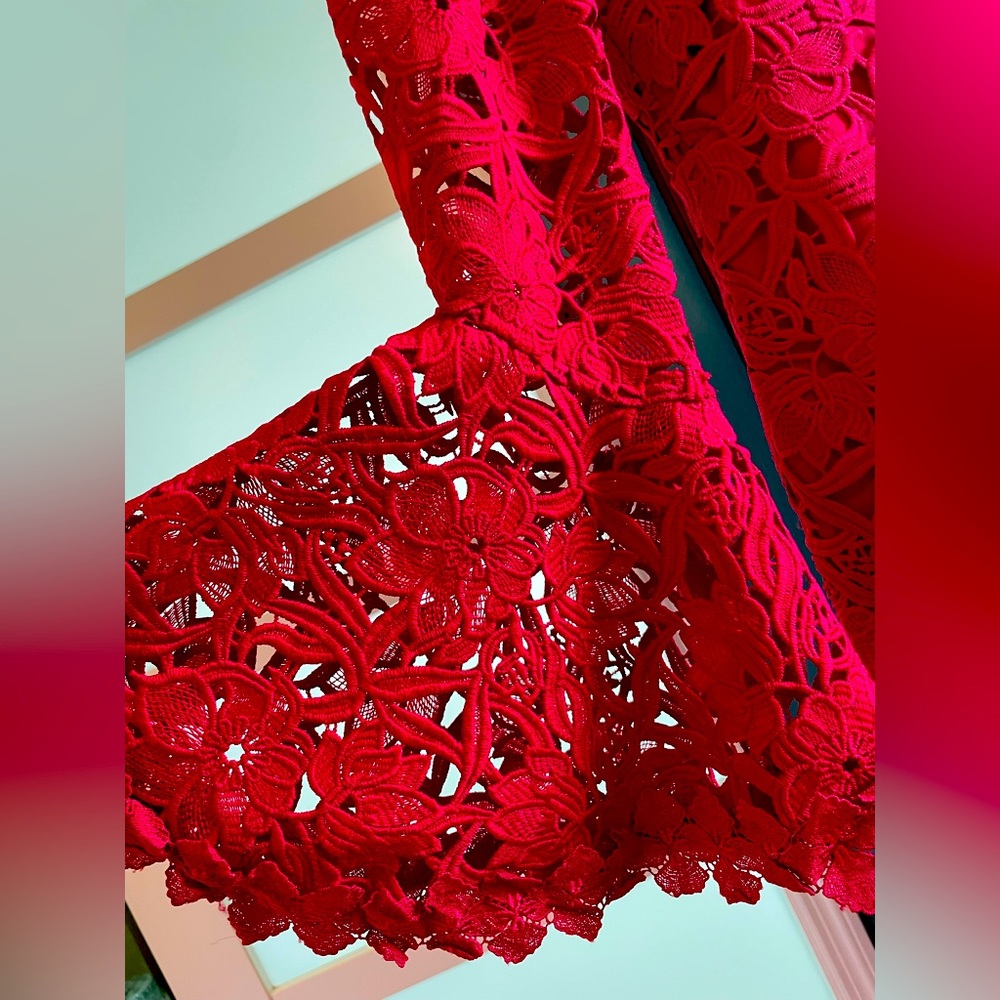 Boston Proper’s Lady in Red Stunning All Lace Off the Shoulder Dress